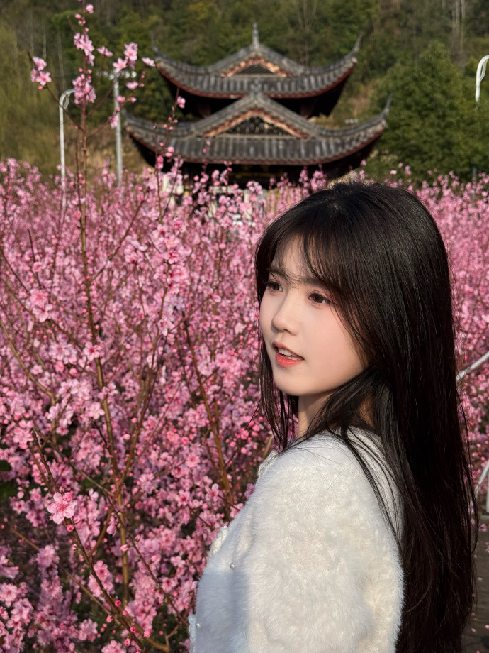 蜘蛛池能否提升长尾词页面的抓取频率