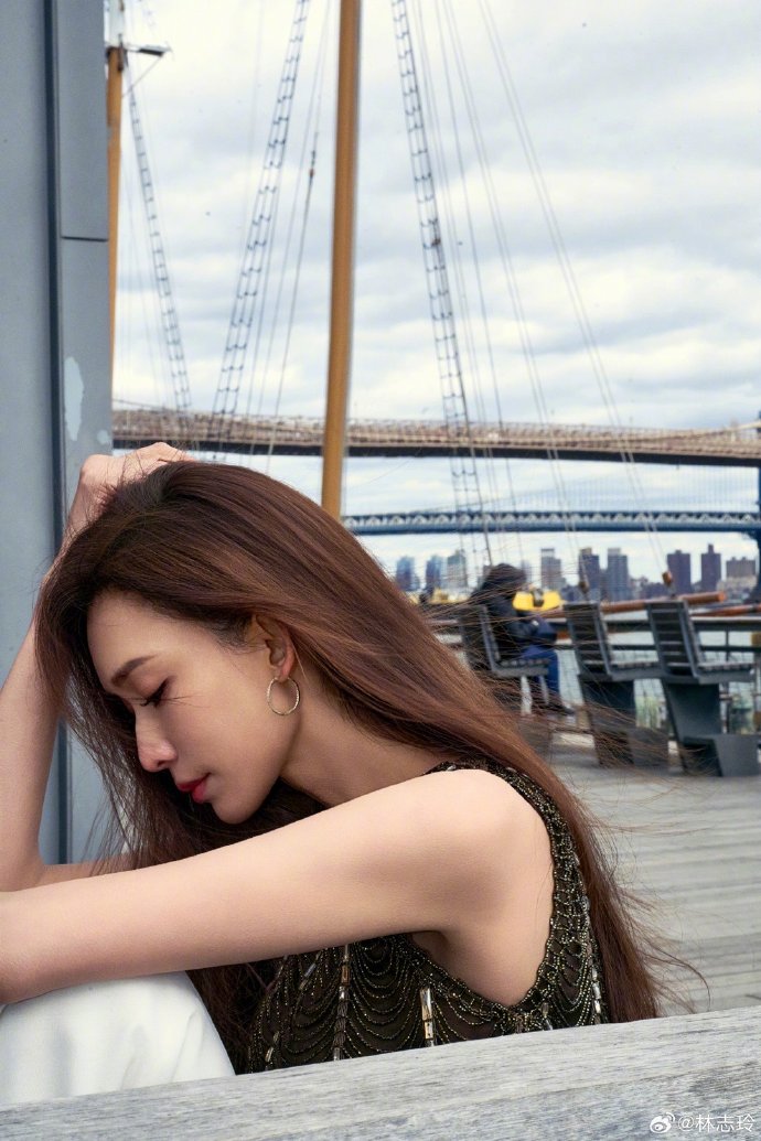 蜘蛛池访问日志的深度分析