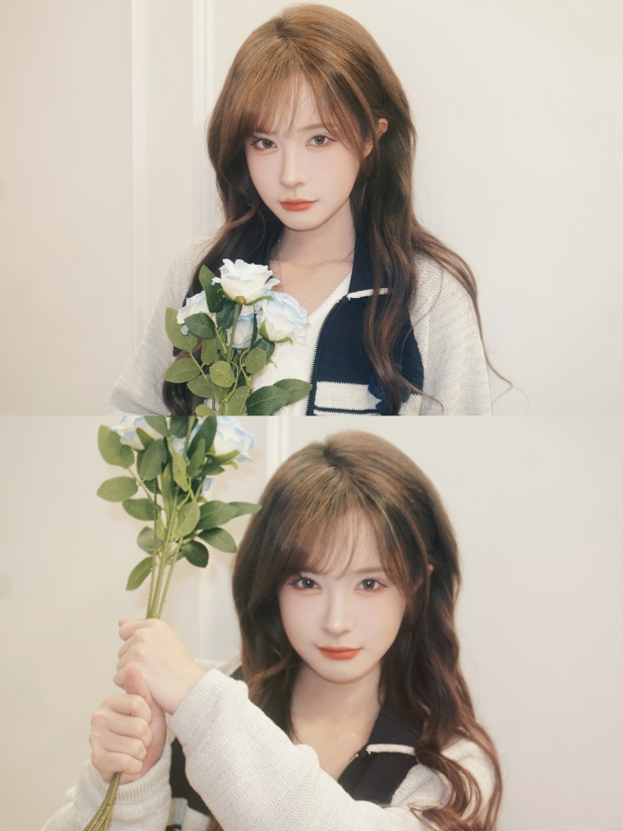 蜘蛛池在自动化站群系统中的角色